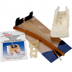 Kůže, svaly a mícha k modelu Spinal injection simulator Nasco