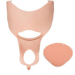 Kompletní sada břišní stěny