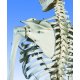 Model lidské kostry - fyziologický - na závěsném stojanu