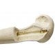Model lidské holenní kosti - ORTHObones