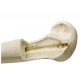 Model lidské loketní kosti - ORTHObones