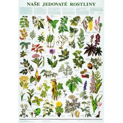 Schéma - naše jedovaté rostliny