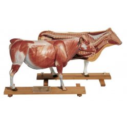 Model krávy 11 dílů