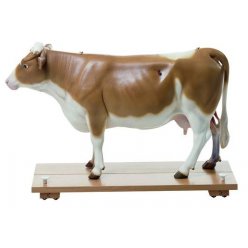 Model krávy 13 dílů