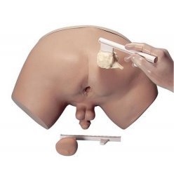 Simulátor pro vyšetření prostaty