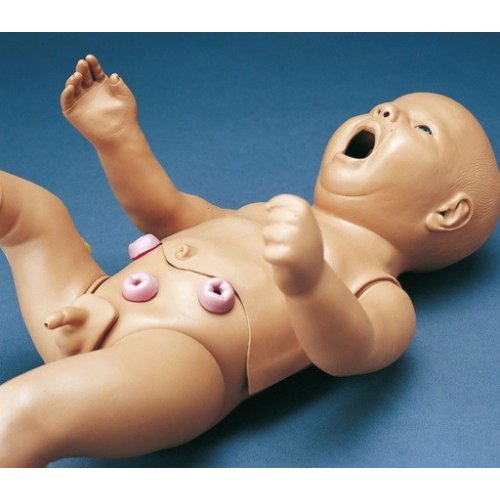 Ošetřovatelský model novorozence