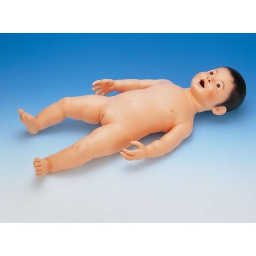 Ošetřovatelský model kojence