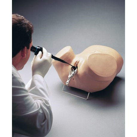 Simulátor provedení hysteroskopie