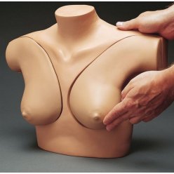 Simulátor vyšetření ženských prsů