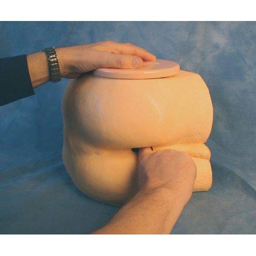 Simulátor pro vyšetření per rectum a prostaty