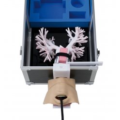 Simulátor ultrazvukového a bronchoskopického vyšetření