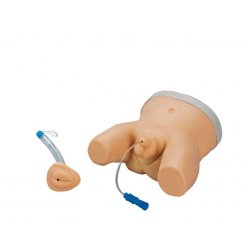 Simulátor katetrizace kojence - oboupohlavný