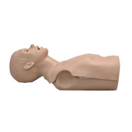 Simulátor CPR - torzo