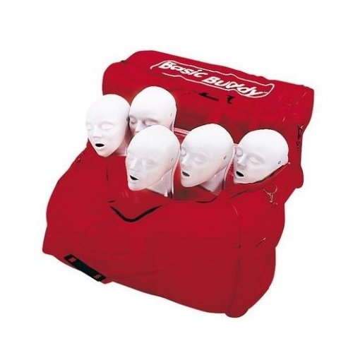 Ekonomické torzo CPR - 5 ks