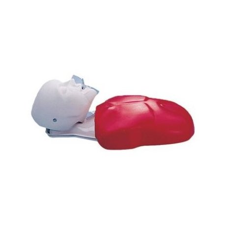 Ekonomické torzo CPR Buddy