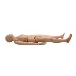 Figurína CPR - dospělý