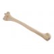 Model kosti pažní člověka - humerus