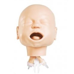 Model dýchacích cest novorozence - hlava