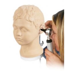 Diagnostický a vyšetřovací model ucha