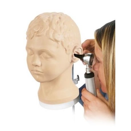 Diagnostický a vyšetřovací model ucha