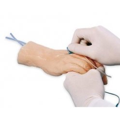 Model ruky pro aplikaci injekce