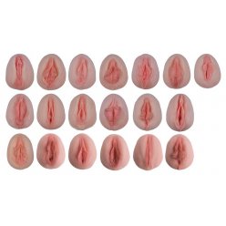 Vulva - odlitky zobrazující anatomické rozdíly