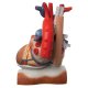 Model lidského srdce s bránicí