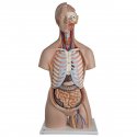 Torzo lidského těla - klasické s otevřeným krkem a zády - unisex - 21 částí