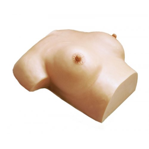 Masážní model prsů