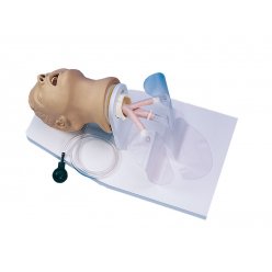 Model dospělé hlavy pro intubaci