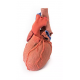 Model srdce s průdušnicí a průduškami