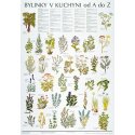 Schéma - Bylinky v kuchyni od A do Z