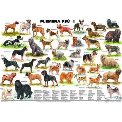 Schéma - Plemena psů I