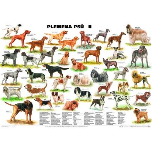 Schéma - Plemena psů II