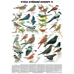 Schéma - Ptáci střední Evropy V (Pěvci 1)