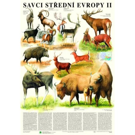 Savci střední Evropy II - Sudokopytníci