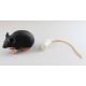 Model myši - MIMICKY