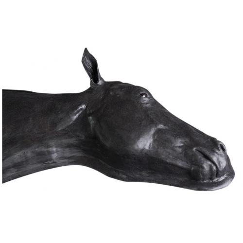 Kůň (hlava s krkem) - pokročilý simulátor