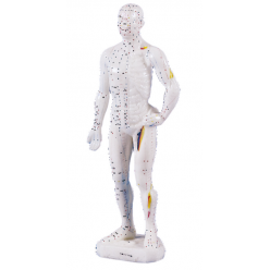 Čínská figurína muže pro akupunkturu - 26 cm