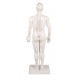 Čínská figurína muže pro akupunkturu - 50 cm