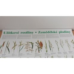 Schéma - užitkové rostliny - zemědělské plodiny - CZ -SLEVA