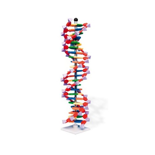 Dvojitá šroubovice DNA s 22 páry bází, sada miniDNA®