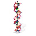 Dvojitá šroubovice DNA s 22 páry bází, sada miniDNA®