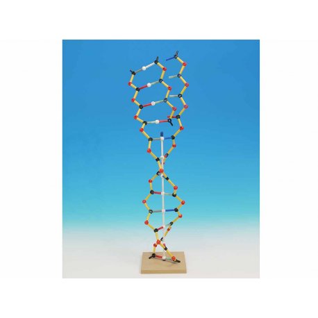 Model DNA-RNA, Cochranes of Oxford