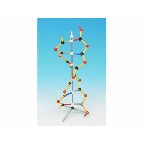 Malý model DNA