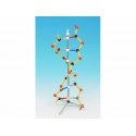 Malý model DNA