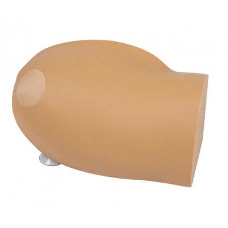 Amy - paže pro trénink intraoseálního vstupu