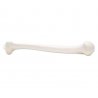 Model lidské pažní kosti ukazuje realistický odlitek kosti pažní s jejími detailními strukturami. Kost pažní je rozčleněná na 3 části - hlavice s kulovitou kloubní plochou přechází v krček. Distální konec humeru má dva výběžky - epikondyly a dvě kloubní plochy - kladku a hlavičku pažní kosti.