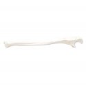 Model lidské loketní kosti