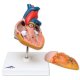 Model srdce klasický - 2 části